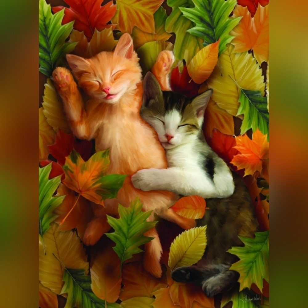 1000 Piece Jigsaw Puzzle